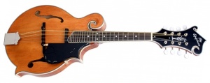 Epiphone MM-50 Professional