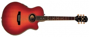 Epiphone El Rio