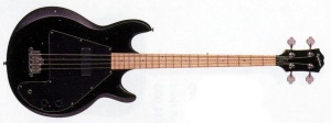Epiphone Ripper Bass