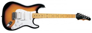 Epiphone FAT-310