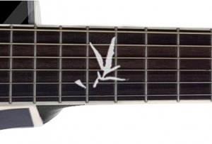 Epiphone PR5-E Midnight Vine
