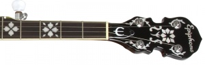 Epiphone MB-250