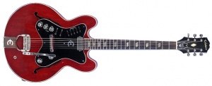 Epiphone Professional