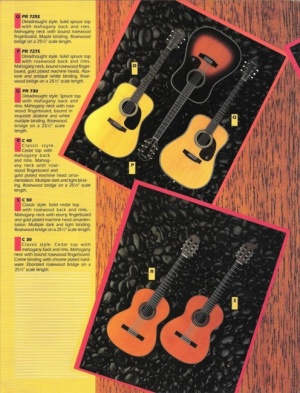 1982 Epiphone Catalog