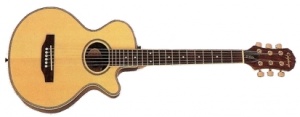 Epiphone El Nino