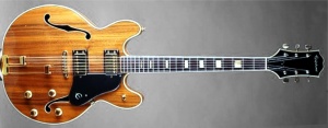 Epiphone EA-255