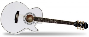 Epiphone PR5-E