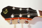 Epiphone Epi D-14