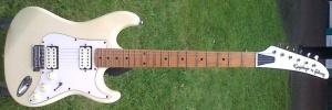 Epiphone S-200