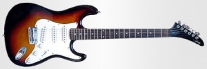 Epiphone S-310
