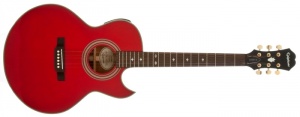Epiphone PR5-E