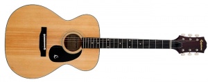 Epiphone FT-120
