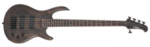 Epiphone Embassy Standard V