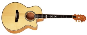 Epiphone PR6-E