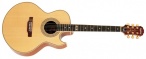 Epiphone Jeff "Skunk" Baxter Signature Acoustic