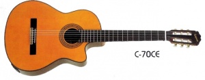 Epiphone C-70CE