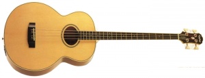 Epiphone El Capitan