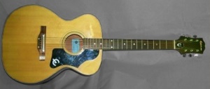Epiphone FT-134
