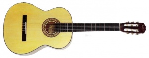 Epiphone C-25