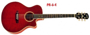Epiphone PR6-E