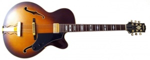 Epiphone NVT