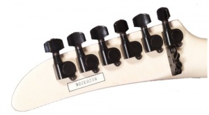 Epiphone S-800