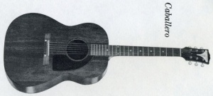 Epiphone FT-30 Caballero