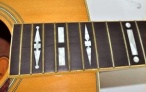 NV185 Inlays