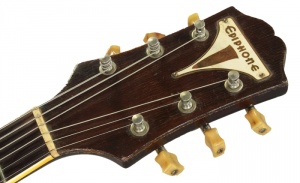 Epiphone 1958 Zephyr Regent