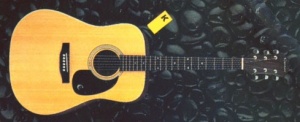 Epiphone PR-500