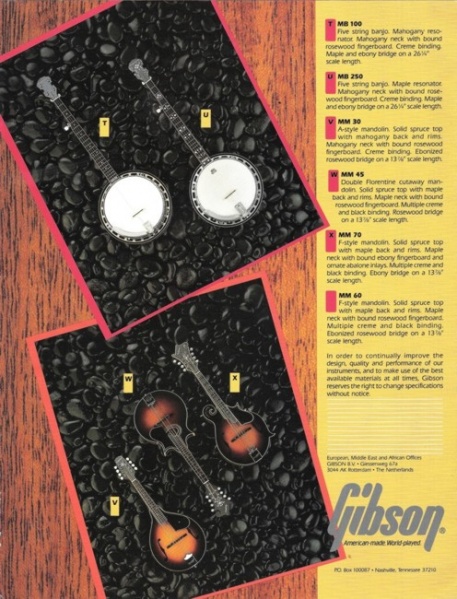 File:1982EpiphonePage6.jpg