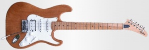 Epiphone S-310 Custom