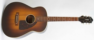 Epiphone Navarre