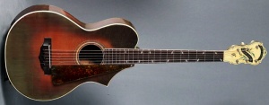 1928-1928 Epiphone Recording Model C