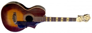 Epiphone Recording Model D