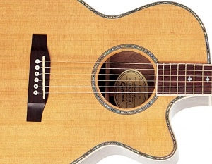 Epiphone PR6-ER