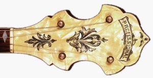Epiphone Professional Banjo