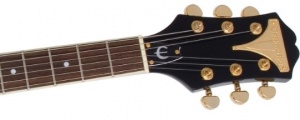 Epiphone Wildkat Deluxe