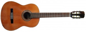Epiphone C-30