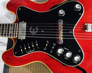Epiphone Professional
