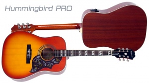 Epiphone Hummingbird-hcb