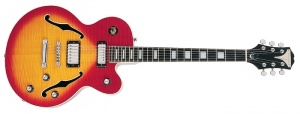Epiphone Alleykat